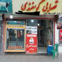 وسایل کامل قصابی ومرغ فروشی