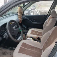 پژو405|خودرو سواری و وانت|اهر, |دیوار