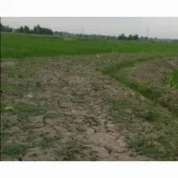 فروش زمین کشاورزی  رشت