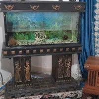آکواریوم
