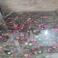 میز تی وی  بوفه  ‌میز عسلی و جلو مبلی