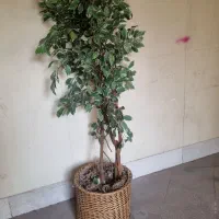 درختچه مصنوعی