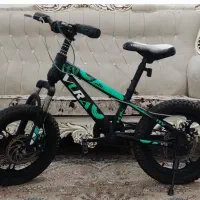 دوچرخه ۱۶ حرفهای