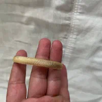 طلا بدون اجرت