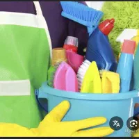 خدمه و نظافتکار منزل هستم