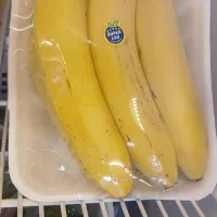 واگذاری لوازم مغازه اجاره ای میوه فروشی