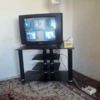 تلویزیون