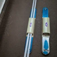 مهتابی شاخه ای