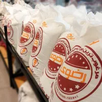 برنج شمال طارم هاشمی و فجر تضمینی (برند رضوی)|خوردنی و آشامیدنی|شیراز, قدوسی شرقی|دیوار