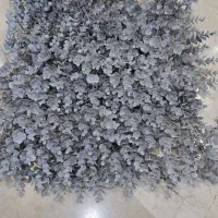 نسل جدید دیوار پوش