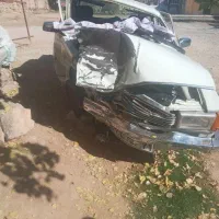 پیکان ۷۹تصادفی