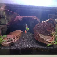 آکواریوم با لوازم