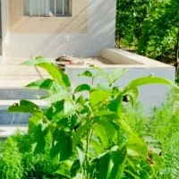 فروش باغ|فروش زمین و ملک کلنگی|انزل, |دیوار