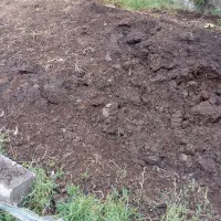 کود پوشیده شده گاوی