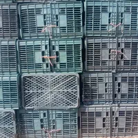 سبد ۱۵ کیلویی