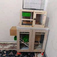 قفس|لوازم جانبی حیوانات|کرج, خرمدشت|دیوار