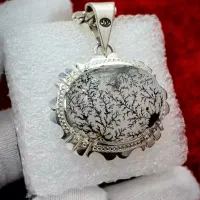 گردنی ، پلاک شجر