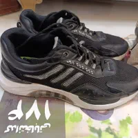 کفش سایزه ۴۲