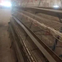 قفس مرغ تخم گذار|لوازم جانبی حیوانات|ابریشم, |دیوار