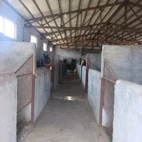 اجاره سوله باشگاه اسب سواری
