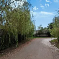 زمین مسکونی به مساحت ۷۸۰ متر ابتدای جاده فومن|فروش زمین و ملک کلنگی|رشت, پسیخان|دیوار
