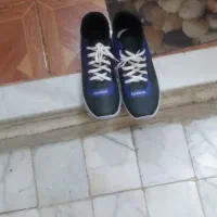 کفش اسپرت