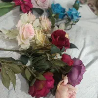 مقداری اساس نو