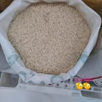 برنج ایرانی به ضمانت پخت|خوردنی و آشامیدنی|گلپایگان, |دیوار