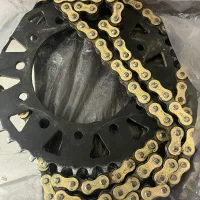 دیسک و زنجیر