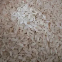 برنج چمپا