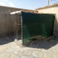 قفس کبوتر