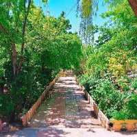 ۸۶۰مترباغ ویلا کهنسال ریشه دار و اصیل (قیمت کاسبی)