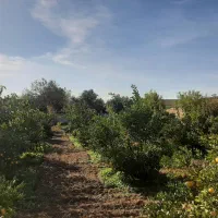 ۱۰۰۰متر زمین با امتیاز|فروش زمین و ملک کلنگی|طبقده, |دیوار