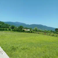 فروش زمین ۴۰۰ متری تک برگ سند شیش دانگ شاندر من