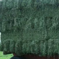 یونجه خشک قالب شده