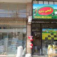 تامین عمده خوراک دام و طیور کیجیدانه