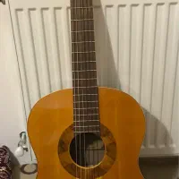 گیتار حرفه ای دستساز