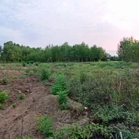 زمین-باغی-2800متر