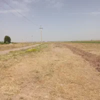فروش زمین تجاری وقابلیت کشاورزی و پرورش طیور|فروش دفتر صنعتی، کشاورزی، تجاری|تاکستان, |دیوار
