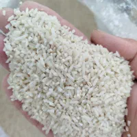 فروش برنج لاشه ونیم دانه هاشمی عطری در خدمت هستم|خوردنی و آشامیدنی|ماهدشت, |دیوار