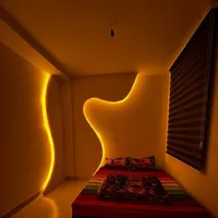 اجاره سوییت آپارتمان ۱ خواب|اجارهٔ کوتاه‌مدت آپارتمان و سوئیت|تهران, دکتر هوشیار|دیوار