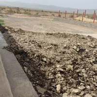 کودمرغ گوشتی|خدمات باغبانی و درختکاری|سبزوار, رباط|دیوار