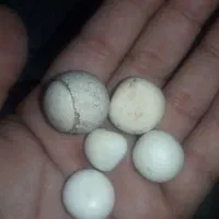 فروش سنگ آسیاب