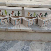 گلدان کاکتوس