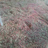 خرید و فروش زرشک