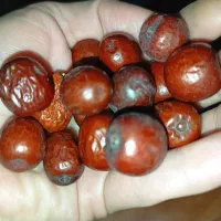 عناب امسال بیرجند|خوردنی و آشامیدنی|قم, نوبهار|دیوار