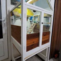 قفس طوطی عروس هلندی