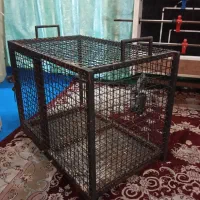 قفس آهنی