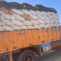 کاه گندم نرم|عمده‌فروشی|مشهد, مهدی آباد|دیوار