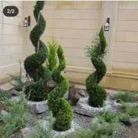 باغبانی
